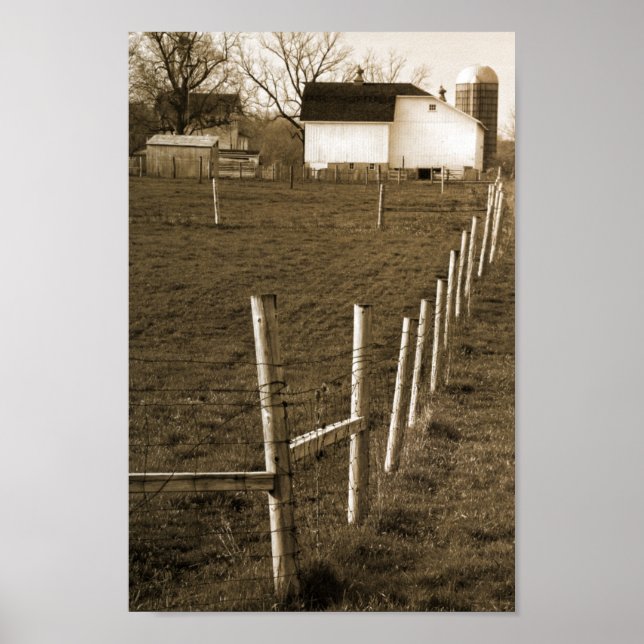 Vintage White Barn Poster (Front)