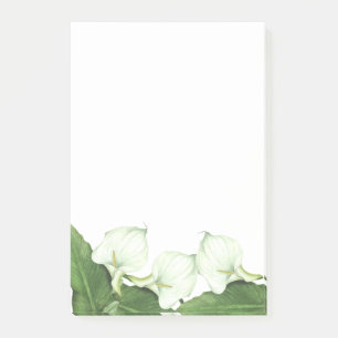 Vintage White Calla Lily Flowers Post-it Notes