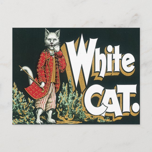 Vintage White Cat Cigar Label Art Postcard (Front)