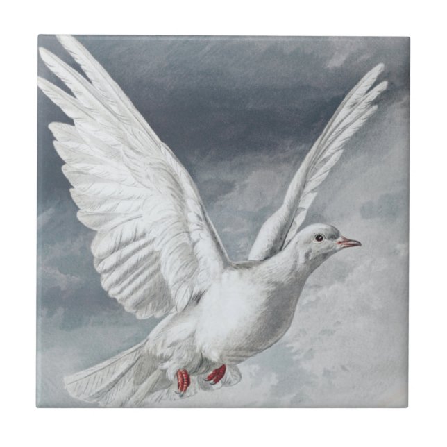 Vintage White Dove Tile (Front)