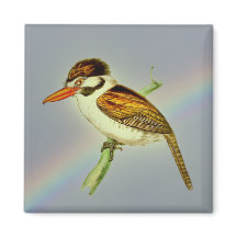 Vintage White-Eared Puff Bird with Rainbow Sky