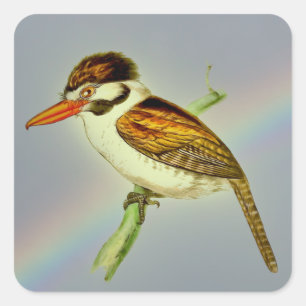 Vintage White-Eared Puff Bird with Rainbow Sky Square Sticker