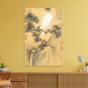 Vintage White Falcon on Pine Tree Chinese Art Canvas Print