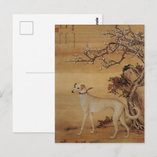 Vintage White Greyhound Under Blossoms Postcard
