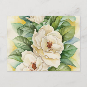 Vintage White Magnolia Floral Blossom Flowers Art Postcard