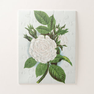 Vintage White Moss Rose Cottagecore Botanical Art Jigsaw Puzzle