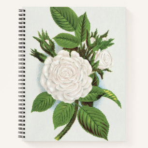 Vintage White Moss Rose Cottagecore Botanical Art Notebook
