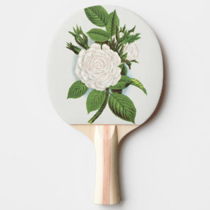 Vintage White Moss Rose Cottagecore Botanical Art Ping Pong Paddle