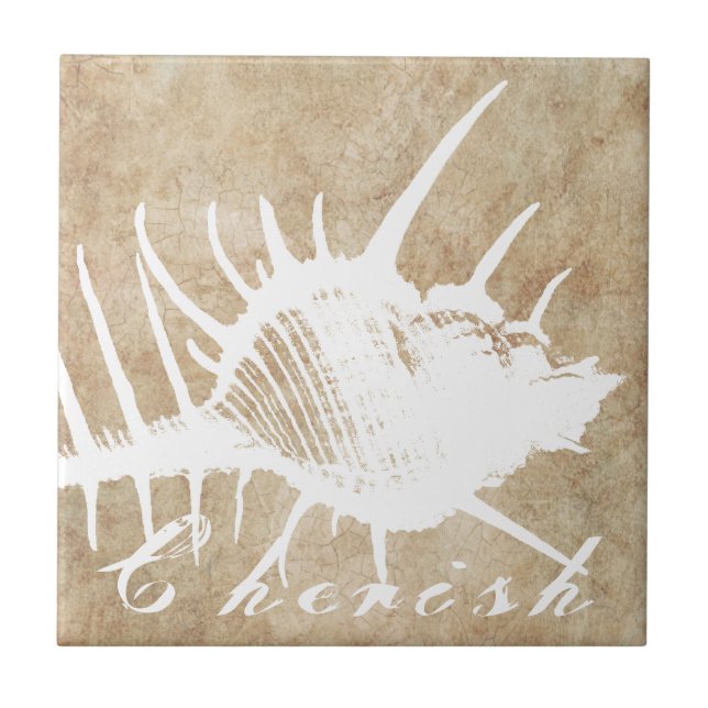 Vintage White Ocean Seahell Beach Tile (Front)