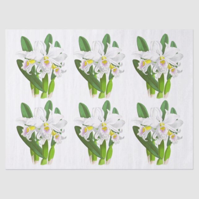 Vintage White Orchid Flower Tissue Paper (Front)