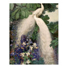 Vintage White Peacock Poster