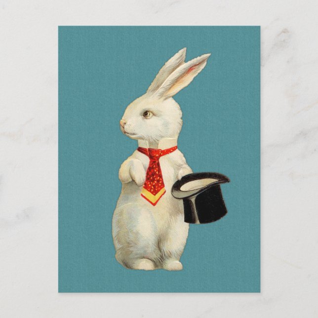 Vintage White Rabbit Postcard (Front)