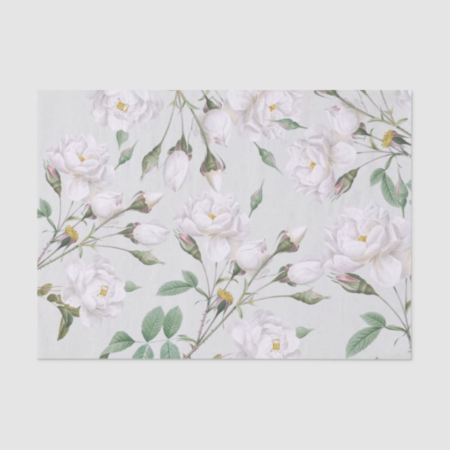 Vintage White Roses Tissue Paper (Front)