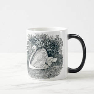 Vintage White Swan by Thomas Bewick Magic Mug