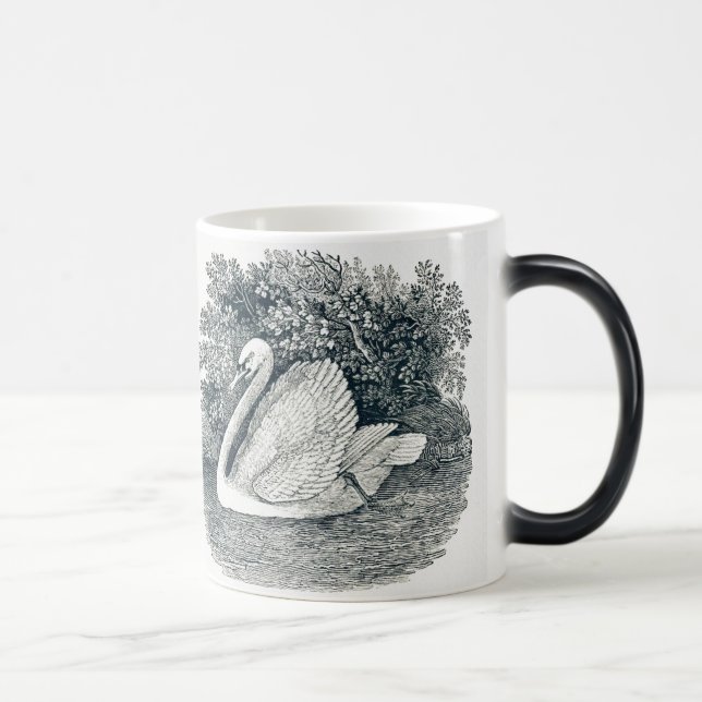 Vintage White Swan by Thomas Bewick Magic Mug (Right)