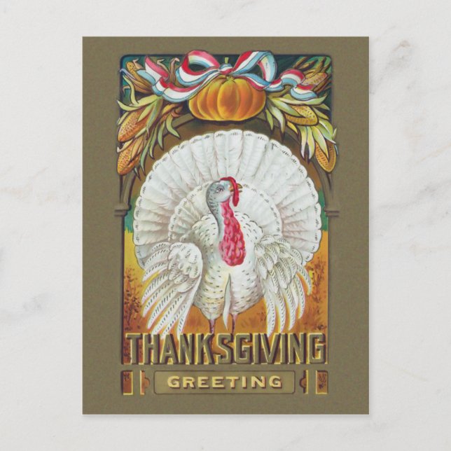 Vintage White Turkey and Thanksgiving Greeting Postcard (Front)