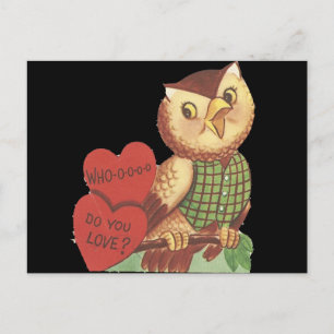 Vintage "Who Do You Love" Owl Valentine Holiday Postcard