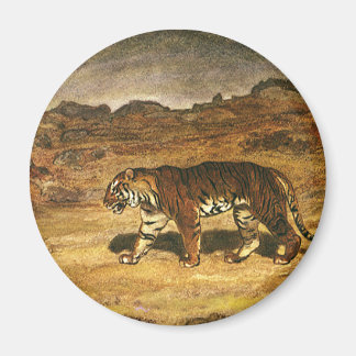 Vintage Wild Animal, Bengal Tiger Roaming Plains Magnet