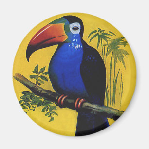 Vintage Wild Animal Birds, Tropical Toucan in Tree Magnet