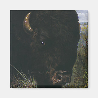 Vintage Wild Animal, Buffalo or American Bison Magnet