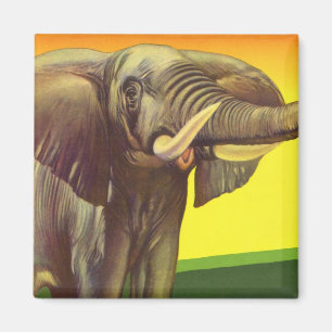 Vintage Wild Animals, African Elephant with Sunset Magnet