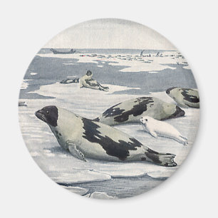 Vintage Wild Animals, Artic Harbour Seals Icebergs Magnet