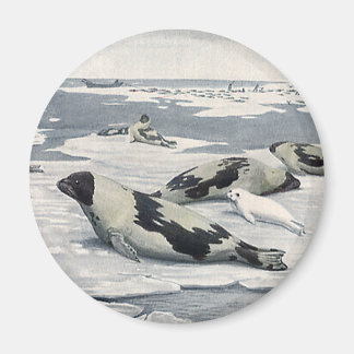 Vintage Wild Animals, Artic Harbour Seals Icebergs Magnet