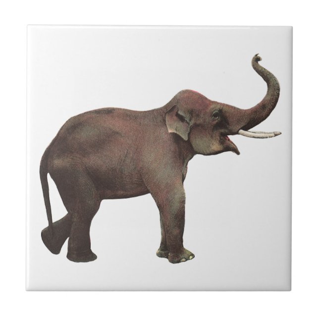 Vintage Wild Animals, Good Luck Asian Elephants Tile (Front)