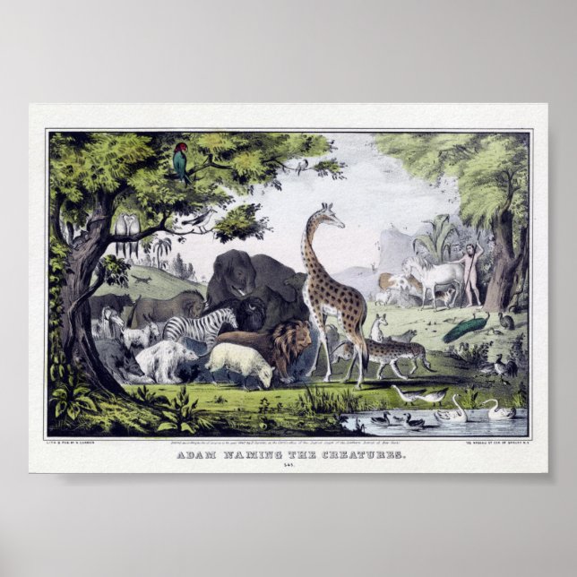 Vintage Wild Animals Illustration Poster (Front)