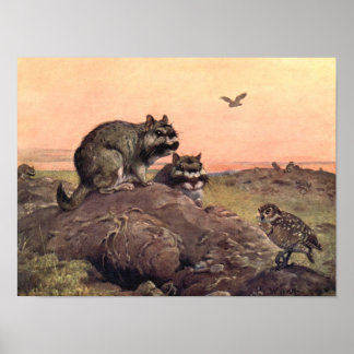Vintage Wild Animals, Vizcachas by Winifred Austen Poster