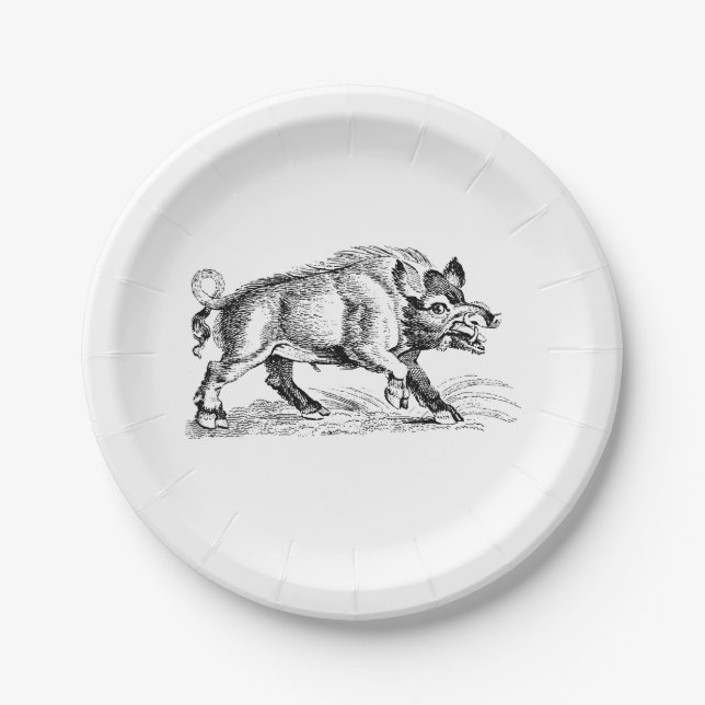 Vintage Wild Boar Drawing BW #2 Paper Plate (Front)