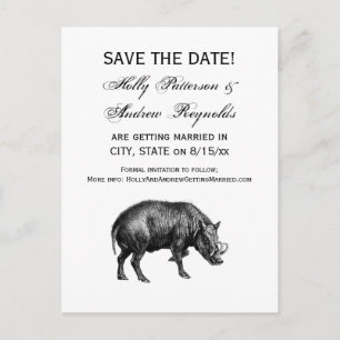 Vintage Wild Boar Drawing BW Announcement Postcard