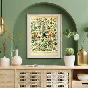 Vintage Wild Flowers Meadow Plants Poster