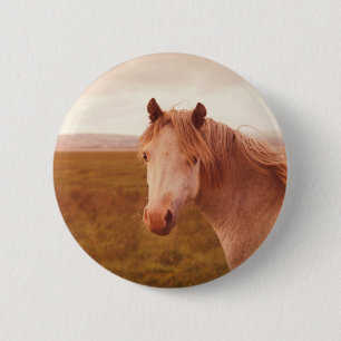 Vintage wild horse 6 cm round badge