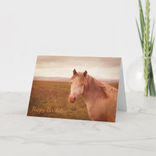 Vintage wild horse card