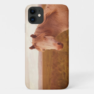 Vintage wild horse Case-Mate iPhone case