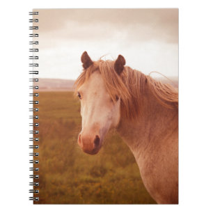 Vintage wild horse spiral notebook