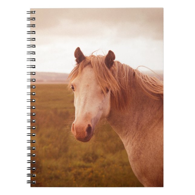 Vintage wild horse spiral notebook (Front)