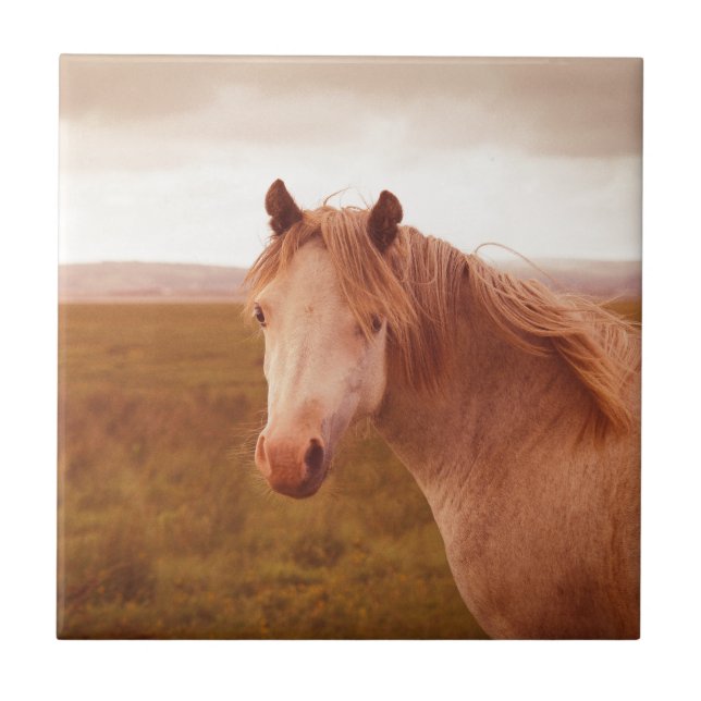 Vintage wild horse tile (Front)