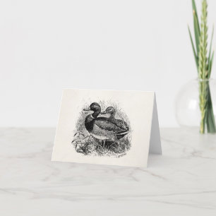Vintage Wild Mallard Ducks Personalised Template