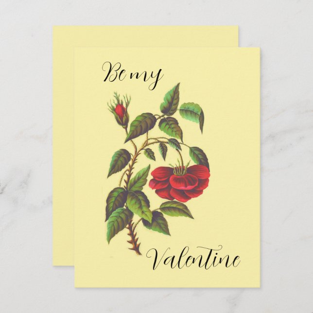 Vintage Wild Red Rose Valentine's Day Card  (Front/Back)