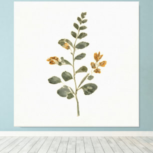 Vintage Wildflower Botanical Branch Herbarium Canvas Print