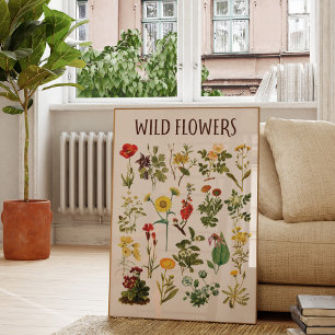 Vintage Wildflower Chart Wall Art