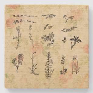 Vintage Wildflowers Floral Script Art Stone Coaster