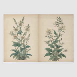 Vintage Wildflowers Print Tissue Paper