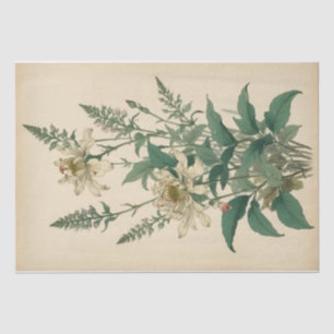 Vintage Wildflowers Print Tissue Paper