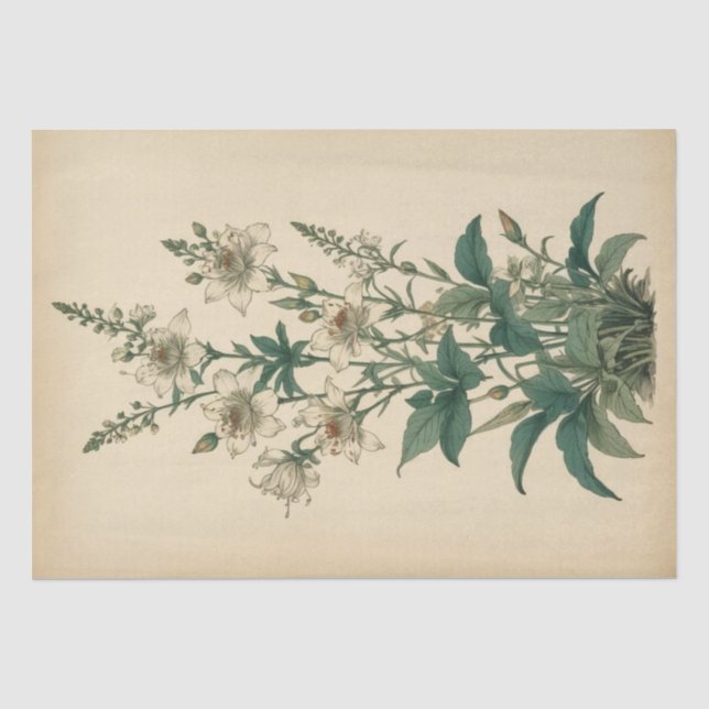 Vintage Wildflowers Print Tissue Paper (Front)