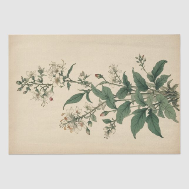 Vintage Wildflowers Print Tissue Paper (Front)