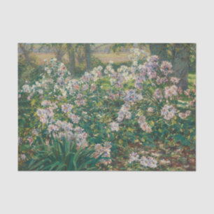 Vintage Windflowers by Painter Ruger Donoho Tissue Paper