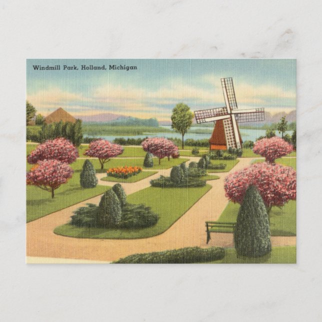 Vintage, Windmill Park, Holland, Michigan Postcard (Front)